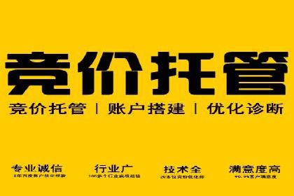 案例分析：如何通过百度广告竞价提升转化率